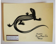 Рисунок (на бумаге) "Саламандра" Тушь"India Ink" на водн.основе(несмываемая) 20мл/250мл ЧЁРНЫЙ P-60371* Pebeo (Пебео) Франция