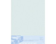 RR Папір д/пастелі 360гр др.зерно Pastelmat Clairefontaine 50х70см СІРИЙ СВІТЛИЙ