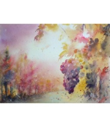 RR Папір д/акварелі 300г сер.зерно 100% бав.Fontaine Clairefontaine 28х38см