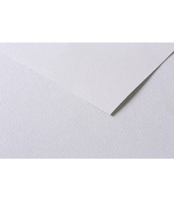 RR Папір д/пастелі 160гр др.зерно 100%цел. Tulipe Clairefontaine 50х65см СІРИЙ СВІТЛИЙ