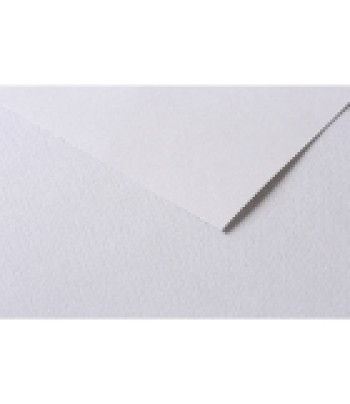 RR Папір д/пастелі 160гр др.зерно 100%цел. Tulipe Clairefontaine| 30х40см СІРИЙ СВІТЛИЙ
