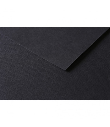 RR Папір д/пастелі 160гр др.зерно 100%цел. Tulipe Clairefontaine 50х65см ЧОРНИЙ