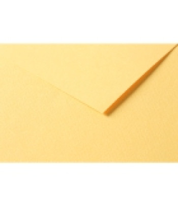 RR Папір д/пастелі 160гр др.зерно 100%цел. Tulipe Clairefontaine| 20х30см ЛЮТИК