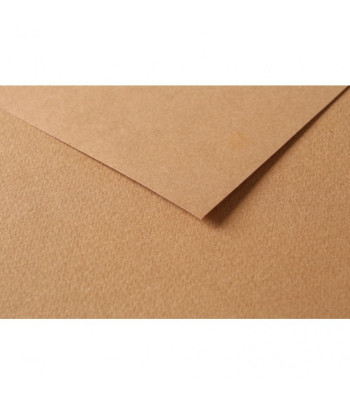 RR Папір д/пастелі 160гр др.зерно 100%цел. Tulipe Clairefontaine 50х65см КОРИЧНЕВИЙ СВІТЛИЙ