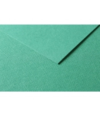 RR Папір д/пастелі 160гр др.зерно 100%цел. Tulipe Clairefontaine| 20х30см ЗЕЛЕНИЙ ТЕМНИЙ