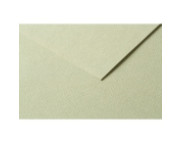 RR Папір д/пастелі 160гр др.зерно 100%цел. Tulipe Clairefontaine| 20х30см МИГДАЛЬ