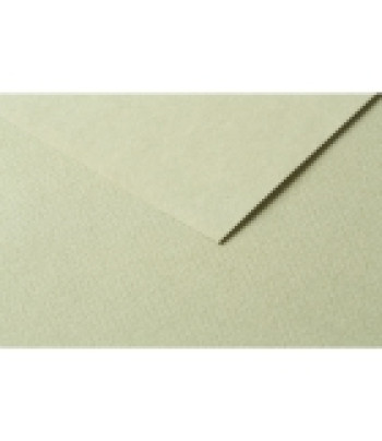 RR Папір д/пастелі 160гр др.зерно 100%цел. Tulipe Clairefontaine| 20х30см МИГДАЛЬ