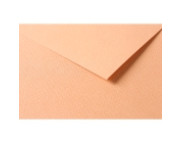 RR Папір д/пастелі 160гр др.зерно 100%цел. Tulipe Clairefontaine| 20х30см ЛОСОСЕВИЙ