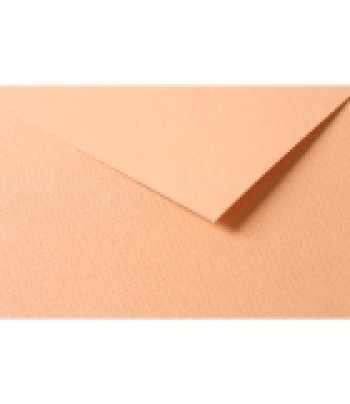 RR Папір д/пастелі 160гр др.зерно 100%цел. Tulipe Clairefontaine| 20х30см ЛОСОСЕВИЙ