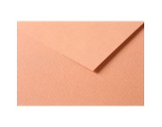 RR Папір д/пастелі 160гр др.зерно 100%цел. Tulipe Clairefontaine| 20х30см ІРЖА