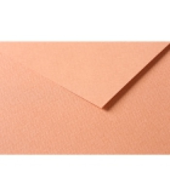 RR Папір д/пастелі 160гр др.зерно 100%цел. Tulipe Clairefontaine| 20х30см ІРЖА