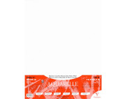 RR Папір д/акварелі 300г др./сер.зерно 70%цел.+30%бав. Cardinal Clairefontaine А3