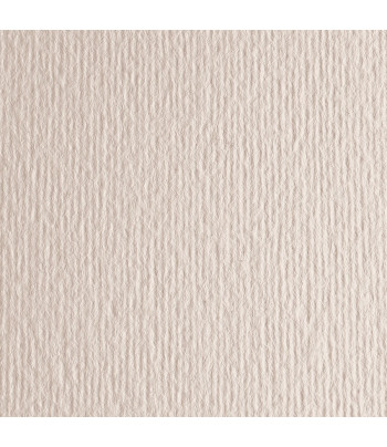 R Папір д/пастелі 220г "Elle Erre" Fabriano 70х100см  СЛОНОВА КІСТКА
