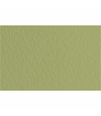 RR Папір д/пастелі 160г "Tiziano" Fabriano| А3  ОЛИВКОВИЙ