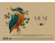 Альбом для графики 150гр альбом.форм/спираль обл.Птицы "Drawing" Muse 30л А4