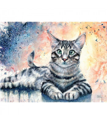 40х50см Н-р живопис за номерами "Кішка"(полотно/підр.+акрил.фарби.+пензель+інструкц) карт.уп