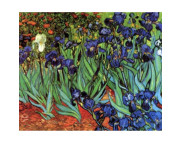 40х50см Н-р живопис за номерами "Іриси"(холст/подр.+акрил.краски.+кисть+инструкц) у картон.упак.